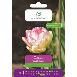 Tulipán - Double Touch - plný - pozdní - růžový a bílý - 4 ks. - Cibule a oddenky - W. Legutko Tulipán - Double Touch - plný - pozdní - růžový a bílý - 4 ks. - Cibule a oddenky - W. Legutko