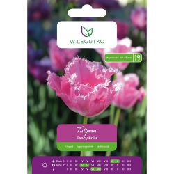 Tulipán - Fancy Frills - zubatý - růžový - 4 ks. - Cibule a oddenky - W. Legutko Tulipán - Fancy Frills - zubatý - růžový - 4 ks. - Cibule a oddenky - W. Legutko