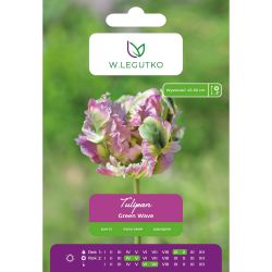 Tulipán - Green Wave - papoušek - zeleno-růžový - 4 ks. - Cibule a oddenky - W. Legutko