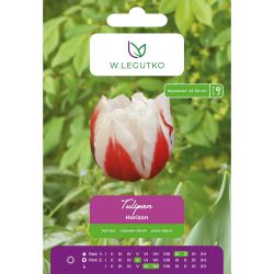 Tulipán - Horizont - plný - pozdní - bílý a červený - 5 ks. - Cibule a oddenky - W. Legutko Tulipán - Horizont - plný - pozdní - bílý a červený - 5 ks. - Cibule a oddenky - W. Legutko