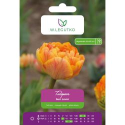 Tulipán - Sun Lover - plný - pozdní - žlutý - 5 ks. - Cibule a oddenky - W. Legutko