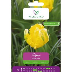 Tulipán - Texas Gold - Papoušek - žlutý - 4 ks. - Cibule a oddenky - W. Legutko
