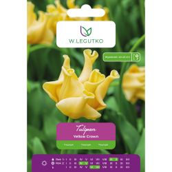 Tulipán - Yellow Crown - Triumph - yellow - 4 ks. - Cibule a oddenky - W. Legutko