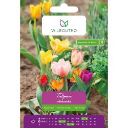 Tulipán - Greiga - mix - 5 ks. - Cibule a oddenky - W. Legutko