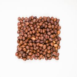 Bobik Bobas 1000g - semena pro meziplodinu - Semena pro krycí plodiny - W. Legutko Bobik Bobas 1000g - semena pro meziplodinu - Semena pro krycí plodiny - W. Legutko