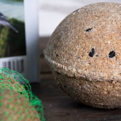 Tučná koule 1x500g - krmivo pro ptáky - Podavače - W. Legutko Tučná koule 1x500g - krmivo pro ptáky - Podavače - W. Legutko