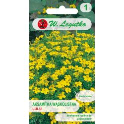 Tagetes měsíček lékařský - Lulu - Semena - W. Legutko