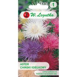 Čínská jehličková astra - směs - Semena - W. Legutko