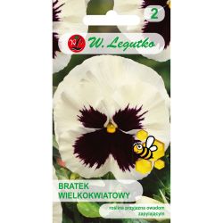 Pansy - švýcarská - Silberbraut, Silverbride - Semena - W. Legutko