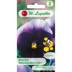 Maceška - švýcarská - Lord Beaconsfield - fialová - Semena - W. Legutko