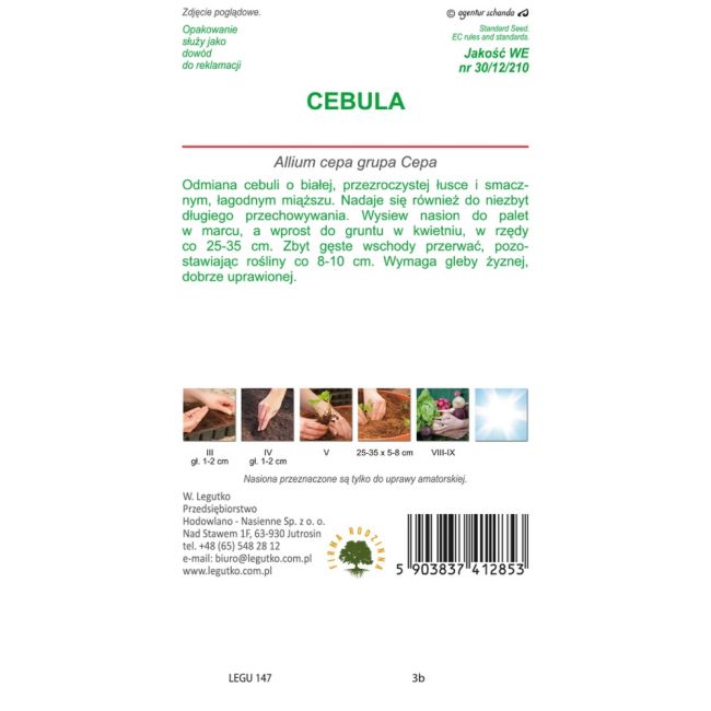 Cibule - bílá slupka - Agostana - Semena - W. Legutko