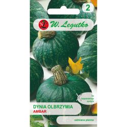 Obří dýně - Amber - Semena - W. Legutko