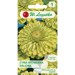 Cínie - elegantní - jiřina - Závist - Semena - W. Legutko