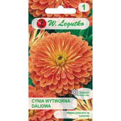 Cínie - elegantní - jiřina - Eldorado - Semena - W. Legutko