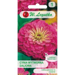 Zinnia - elegantní jiřina - Illumination - Semena - W. Legutko