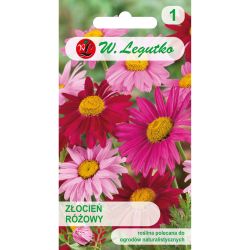 Růžový pyrethrum - směs - Semena - W. Legutko
