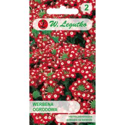 Verbena, Witułka - červená s bílým okem - Semena - W. Legutko