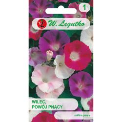 Vrba, Svlačec popínavá - směs - 5g - Semena - W. Legutko