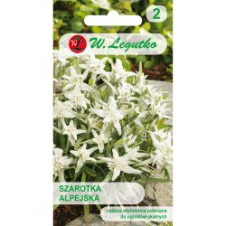 Protěž - bílá - Semena - W. Legutko