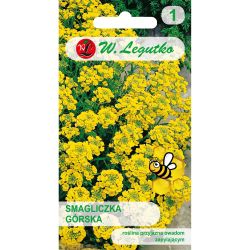 Horský motýl - žlutý - Semena - W. Legutko