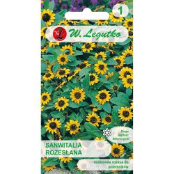 Sanwitalia – rozeslaná - Semena - W. Legutko