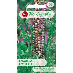 Tears of Job - černá semena - Semena - W. Legutko