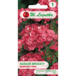 Karafiát - vousatý - Newport Pink - Semena - W. Legutko