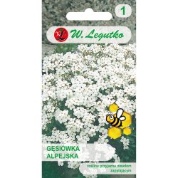 Gęsiówka - alpská - bílá - Semena - W. Legutko