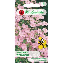 Elegantní sádra - růžová - Semena - W. Legutko