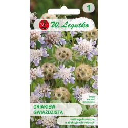 Driakiew - hvězdný - šeřík - Semena - W. Legutko