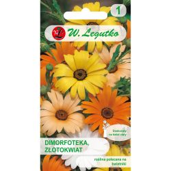 Dimorphotheca, Laburnum - směs - Semena - W. Legutko