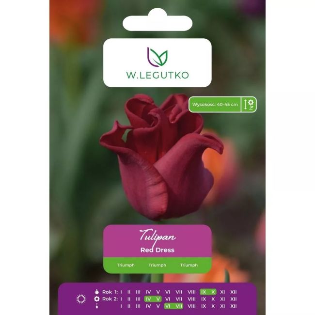 Test - Hlavní - W. Legutko Test - Hlavní - W. Legutko