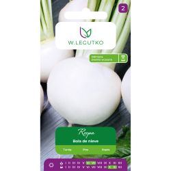 kopie Bílé sochy - Semena - W. Legutko