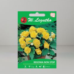 Dynia zwyczajna - cukinia - Astra Polka - Semena - W. Legutko