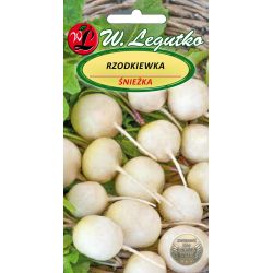 Kulatá ředkev - Sněhurka - Semena - W. Legutko