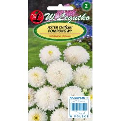 Čínská bambulka astra - bílá - Semena - W. Legutko