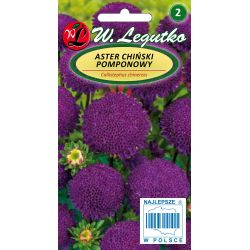 Čínská pomponová astra - fialová - Semena - W. Legutko