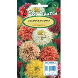 Gaillardia superna - směs - Semena - W. Legutko