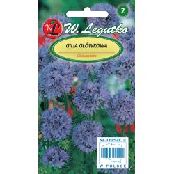 Gilia capitulum - světle modrá - Semena - W. Legutko