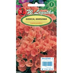 Godetia, letní azalka - pomeranč - Semena - W. Legutko