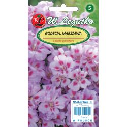 Godetia šeřík, letní azalka - Cattleya - Semena - W. Legutko