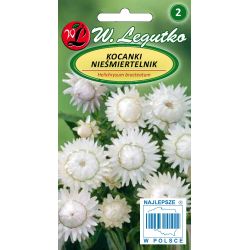 Helichrysums, Slaměnka - vysoká - bílá - Semena - W. Legutko