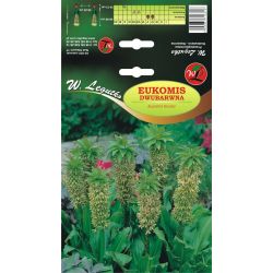 Eukomis bicolor - Cibule a oddenky - W. Legutko