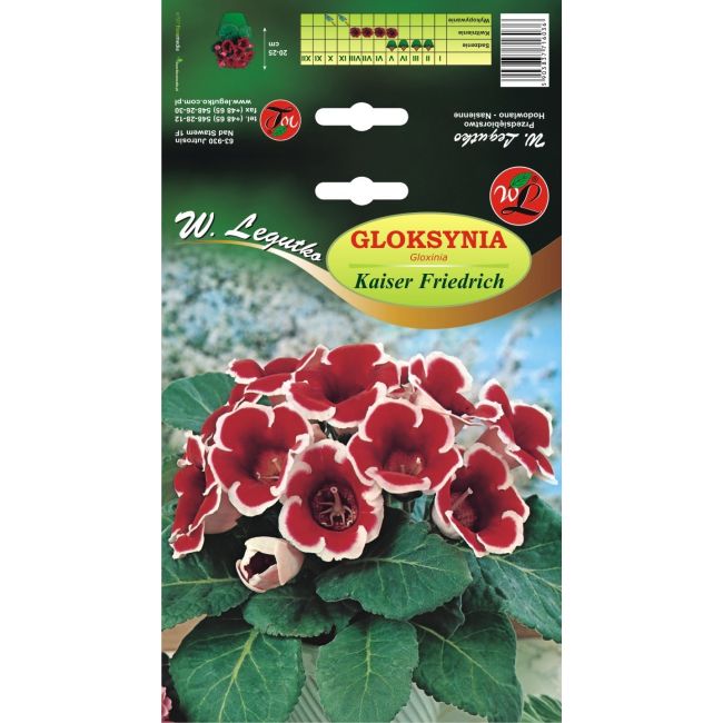 Gloxinia - Kaiser Friedrich - červená a bílá - 1 ks. - Cibule a oddenky - W. Legutko Gloxinia - Kaiser Friedrich - červená a bílá - 1 ks. - Cibule a oddenky - W. Legutko