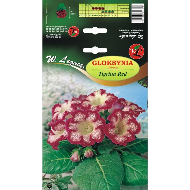 Gloxinia - Tigrina Red - bílá a červená - 1 ks. - Cibule a oddenky - W. Legutko Gloxinia - Tigrina Red - bílá a červená - 1 ks. - Cibule a oddenky - W. Legutko