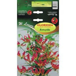Gloriose - Rothschild - žluto-červená - 1 ks. - Cibule a oddenky - W. Legutko Gloriose - Rothschild - žluto-červená - 1 ks. - Cibule a oddenky - W. Legutko