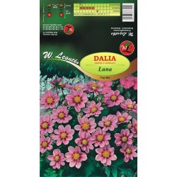 Zahradní jiřina - Luna - Top Mix - růžová - 1 ks. - Cibule a oddenky - W. Legutko