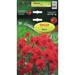 Zahradní jiřina - Inca - sasanka - Cibule a oddenky - W. Legutko