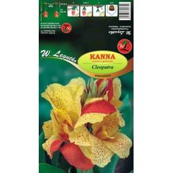 Kanna - zelenolistá - Kleopatra - žlutooranžová - Cibule a oddenky - W. Legutko Kanna - zelenolistá - Kleopatra - žlutooranžová - Cibule a oddenky - W. Legutko
