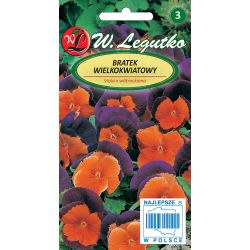 Maceška - švýcarská - oranžově fialová - Semena - W. Legutko